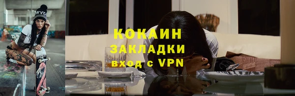 соль ск Елизово