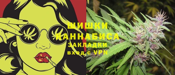 круглые Ельня